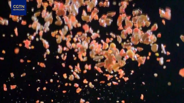 Хуэйгожоу – Свинина двойного приготовления смотреть онлайн