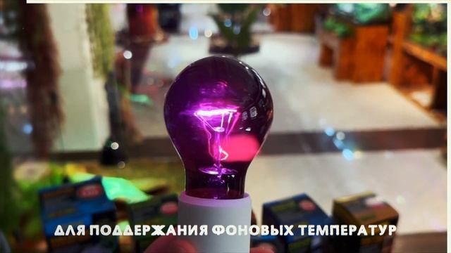 Почему лампы EXO-TERRA служат дольше всех? смотреть онлайн