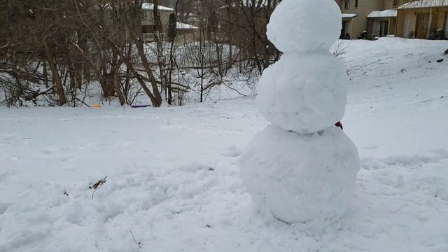 Миннесотский снеговик