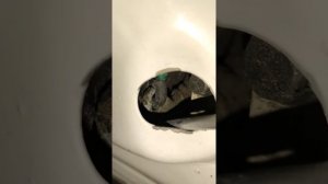 Даф 105 быстрый ремонт замка дверей