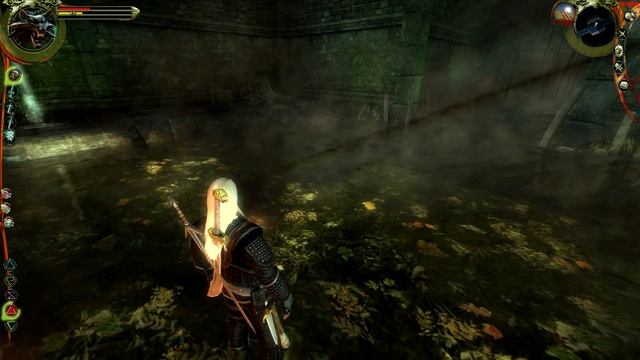 The Witcher: Enhanced Edition #45 - Риггер смотреть онлайн