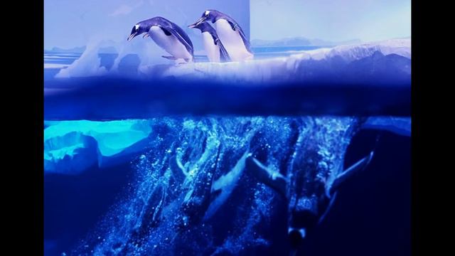 жизнь на земле