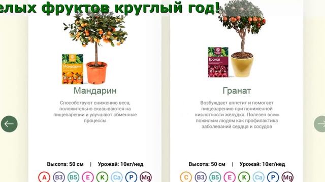 Домашние Деревья Семена смотреть онлайн