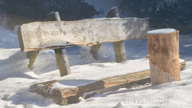 VIVALDI - The Four Seasons Winter 