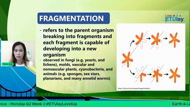 Earth & Life Science - Monday Q2 Week 3 #ETUlayLevelUp смотреть онлайн