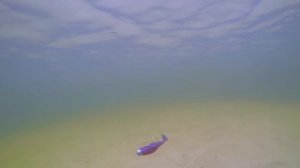 ТОП 5 силиконовых приманок на щуку с лодки весной Федора Булько