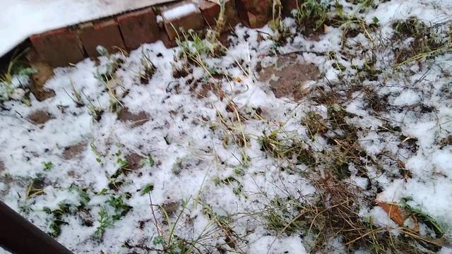 Гастрономическое вдохновение