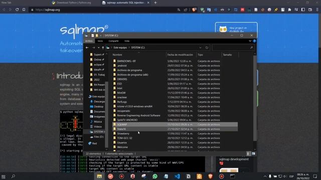 SQL Injection - Deyvis Mamani Lacuta смотреть онлайн