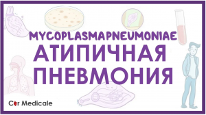 Атипичная пневмония - Микоплазма пневмонии (M.pneumoniae) - клиника, диагностика, лечение