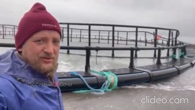 День рыбака: В Сочи на пляж штормом выбросило огромную конструкцию форелеводческой фермы смотреть онлайн