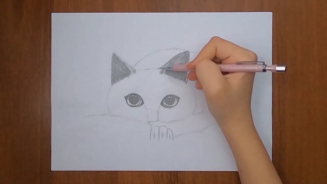 Как нарисовать кота /Карандашом/ Рисунок/ How to draw a cat. With a pencil смотреть онлайн