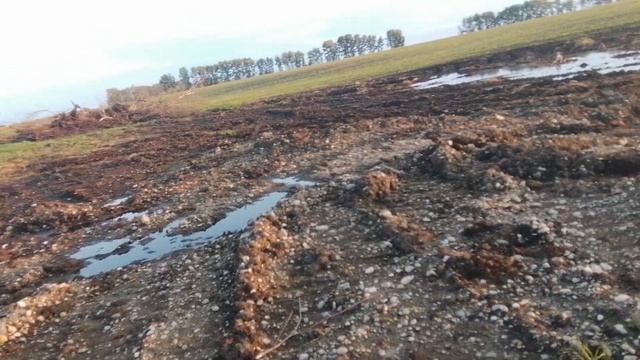 Болдею от таких находок смотреть онлайн