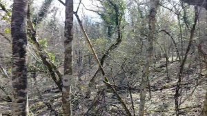 Магическое место силы в Крыму.