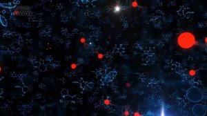 ВОТ ЧТО ТВОРИТ РЫБИЙ ЖИР! (Реальная Польза и Вред Рыбьего Жира)