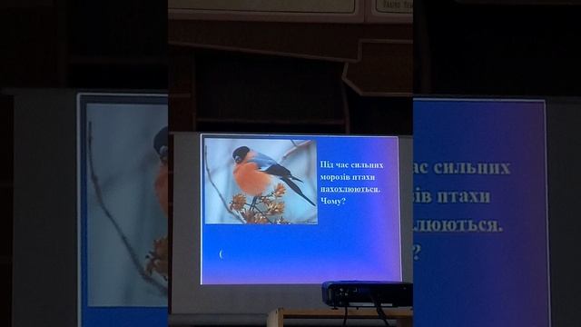 Цікаві факти про природу смотреть онлайн