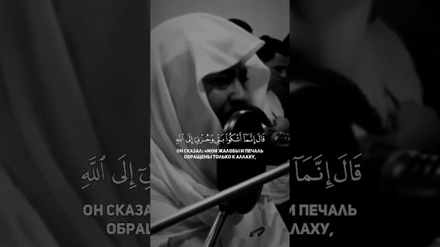 ﷽ Чтец: «Анас Джалхум»Сура: «Иусуф»Аяты: «85-87» смотреть онлайн