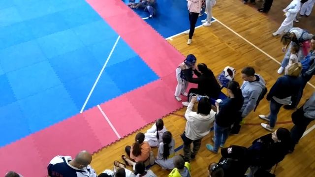 Открытый юношеский турнир по тхэквондо г.Витебск, 10 июня 2018 смотреть онлайн