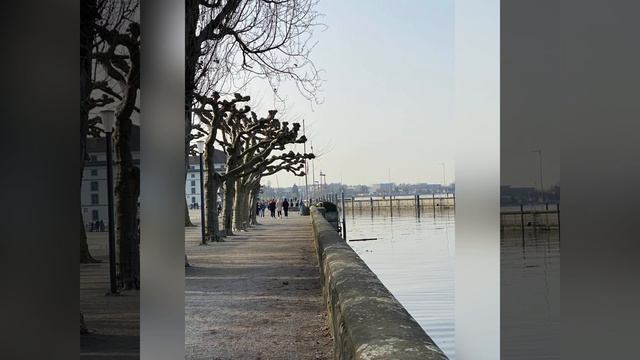 Rorschach am Bodensee смотреть онлайн