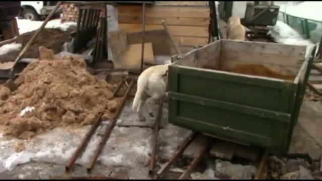 28 03 2021 жд на даче 500 мм. смотреть онлайн