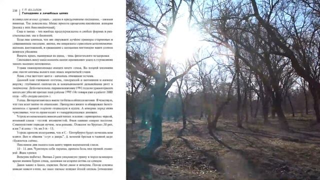 ЖИЗНЬ БЕЗ ЕДЫ И ВОДЫ. Малахов. смотреть онлайн