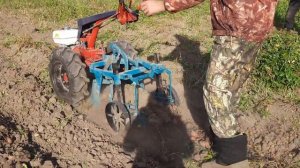 МТЗ-09Н HONDA GX-270 в паре с картофелекопалкой ККМ-2