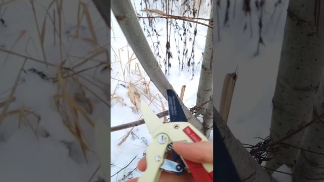 Тест секатора Mr. Logo смотреть онлайн