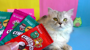 Стикерсы магнит  Распаковка с котом Огромные стикерсы из бумаги своими руками