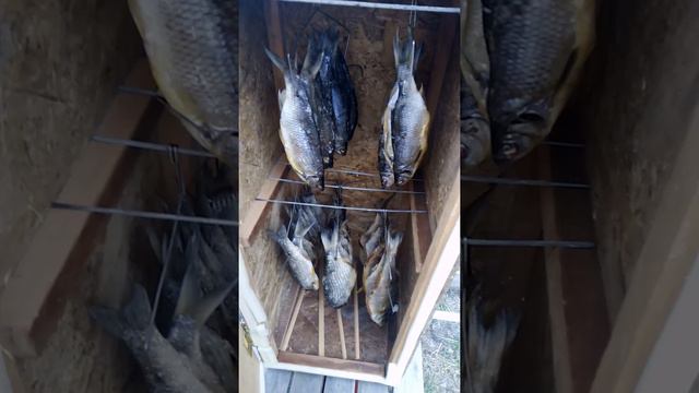 Как мы ходим на рыбалку.(3) смотреть онлайн