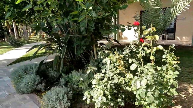 HOTEL SIDE GRAND TURKEY смотреть онлайн