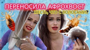 Афрохвост Облысение Лысина Проплешины на голове Выпадение волос