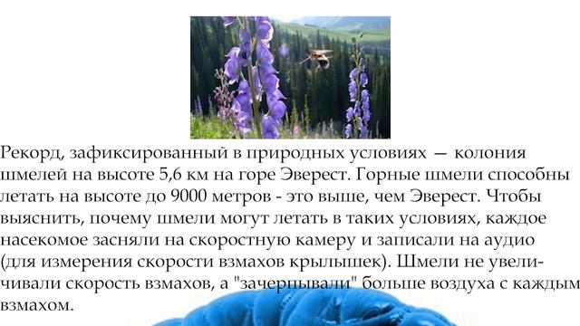 Тест на Эрудицию 14 | #интересныефакты смотреть онлайн