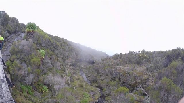 Mount Kilimanjaro - The Marangu Route