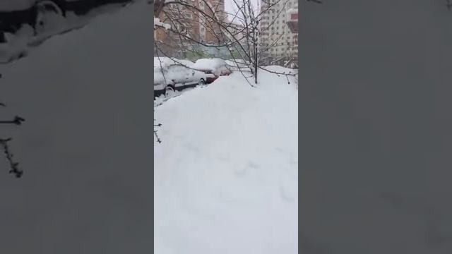 Московская зима... ВЕДЬМИНА ИЗБА ● ИНГА ХОСРОЕВА смотреть онлайн