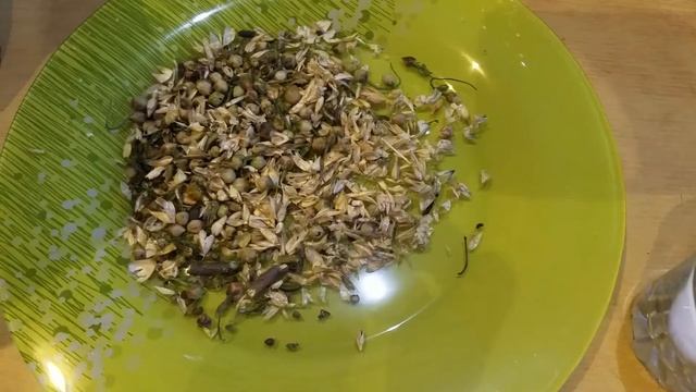 Готовим хлеб из проростков пшеницы и цельнозерновой муки. Часть 1. смотреть онлайн