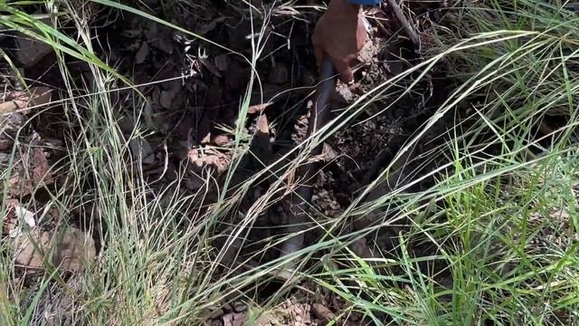 Searching Drop Zones with the minelab GPX 6000 and the Nugget Finder Xceed coil смотреть онлайн