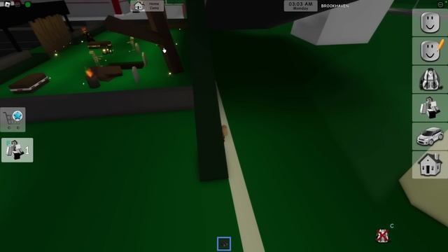 БРАЙС Копает МОГИЛЫ в Брукхейвен РП Роблокс! Слежу за Брайсом на Кладбище в Brookhaven RP Roblox смотреть онлайн