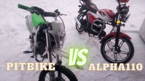 Что лучше? Мопед Альфа 110 или Питбайк 125?