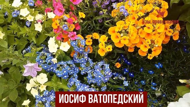Что говорят о молитве Афонские Старцы смотреть онлайн
