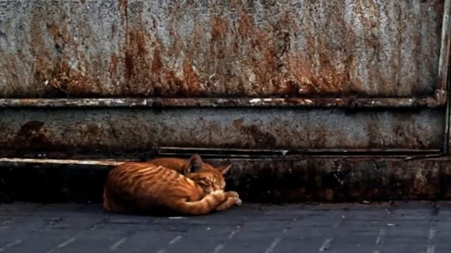 Пульс доброты (2012) смотреть онлайн
