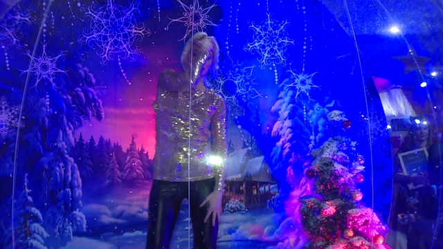 08.01.2018 Начало. Рождественский вечер с Княжной