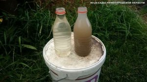 Подкормка золой.Настой древесной золы