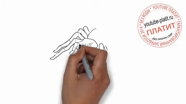 Нарисованные карандашом животные Как поэтапно нарисовать паука карандашом смотреть онлайн