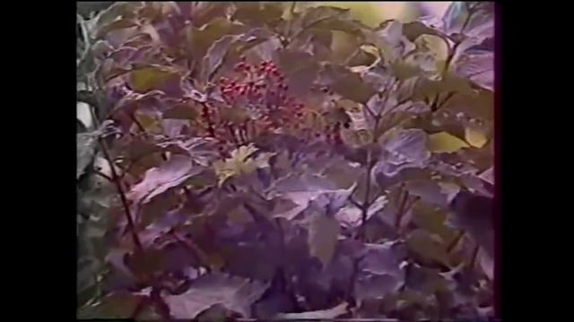 Artashes Avetyan, Lola Khomyants - Siro Masin Chkhosenq (Armenian Song)