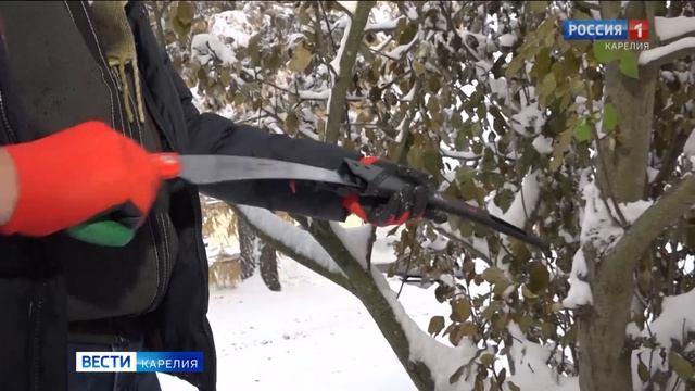 В Петрозаводске работает выставка инструментов смотреть онлайн