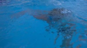 Отель Колибри Турция Авсаллар