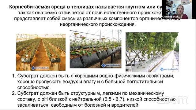 Салатная Кухня