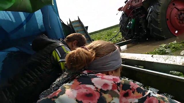 Профессиональный сбор огурцов смотреть онлайн