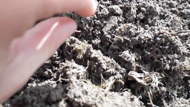 Коп с Garrett ace 250 ЧТО МОЖНО НАЙТИ !!! смотреть онлайн