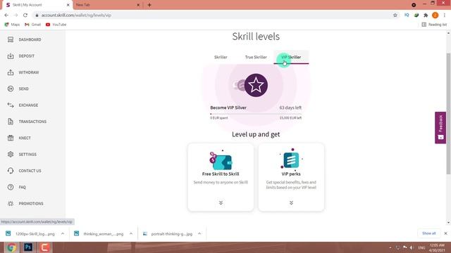 What are skrill levels | skriller | true skriller | vip skriller | deep explained. смотреть онлайн