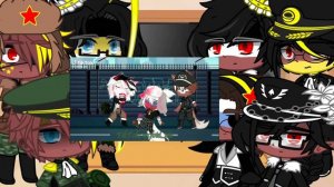 Реакция стран на шип Рейх/Росс